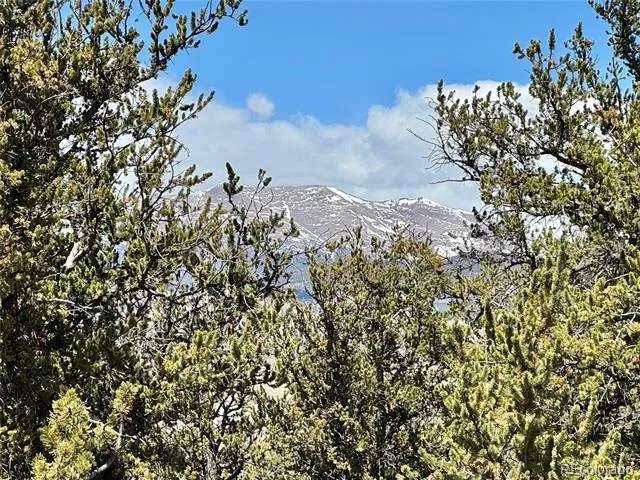 5013 Middle Fork Vista Fairplay, CO 80440