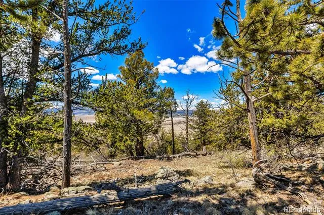 5013 Middle Fork Vista Fairplay, CO 80440