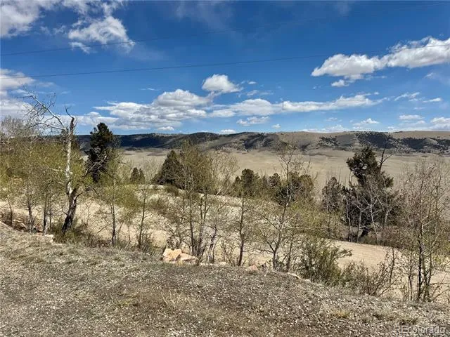 5013 Middle Fork Vista Fairplay, CO 80440