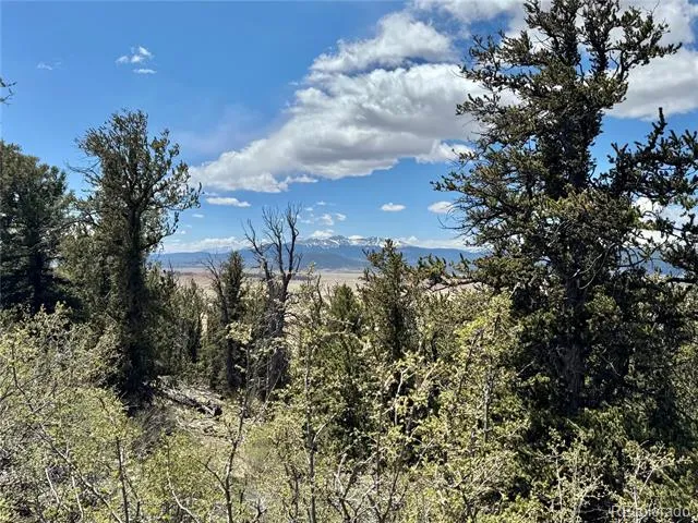 5013 Middle Fork Vista Fairplay, CO 80440