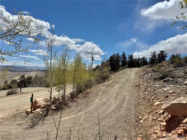 5013 Middle Fork Vista Fairplay, CO 80440