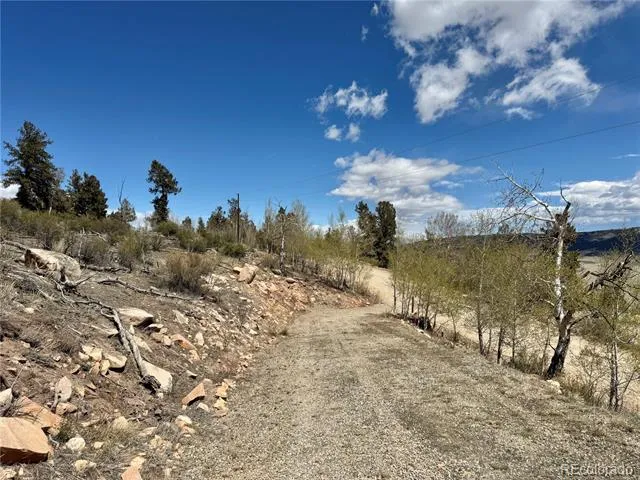 5013 Middle Fork Vista Fairplay, CO 80440