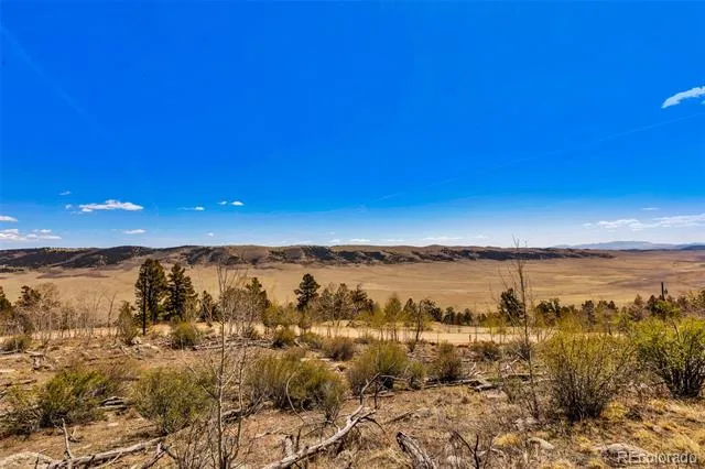 5013 Middle Fork Vista Fairplay, CO 80440