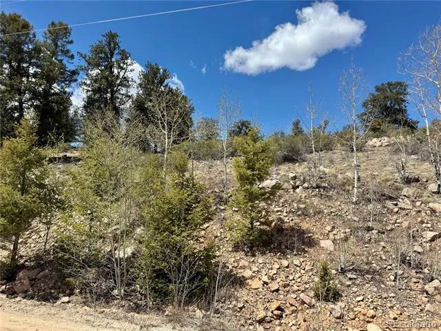 5013 Middle Fork Vista Fairplay, CO 80440