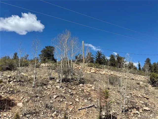 5013 Middle Fork Vista Fairplay, CO 80440