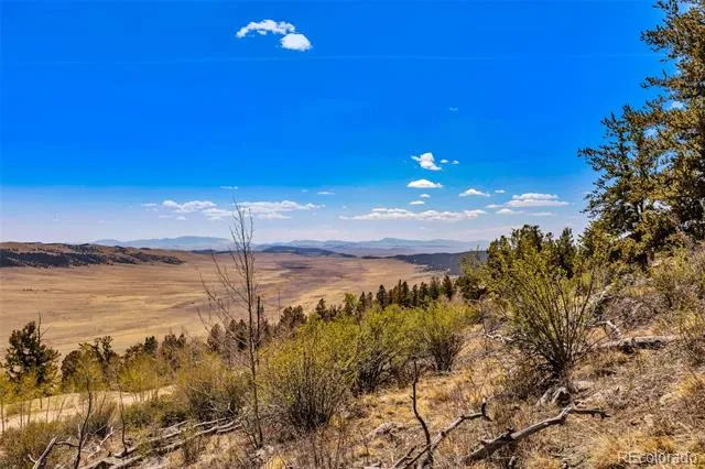 5013 Middle Fork Vista Fairplay, CO 80440