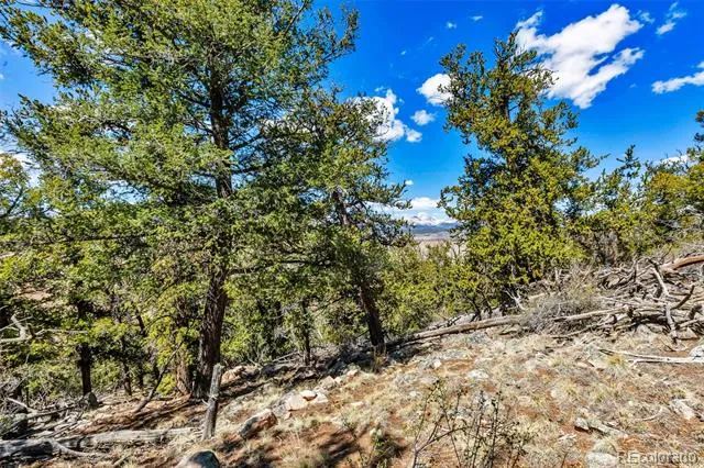5013 Middle Fork Vista Fairplay, CO 80440