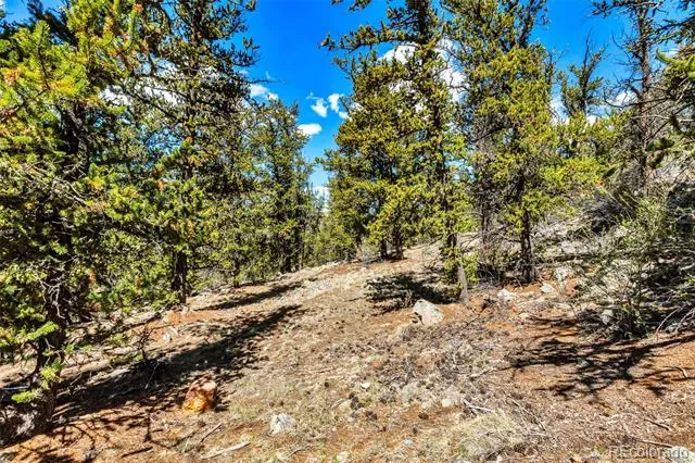 5013 Middle Fork Vista Fairplay, CO 80440