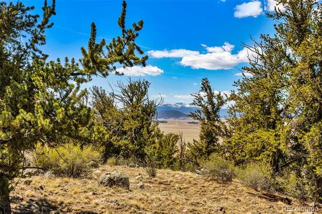 5013 Middle Fork Vista Fairplay, CO 80440