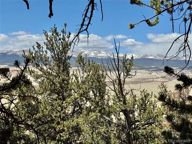 5013 Middle Fork Vista Fairplay, CO 80440