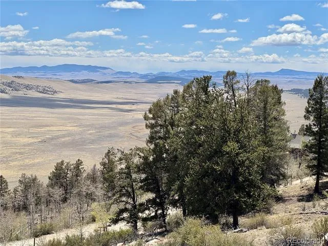 5013 Middle Fork Vista Fairplay, CO 80440