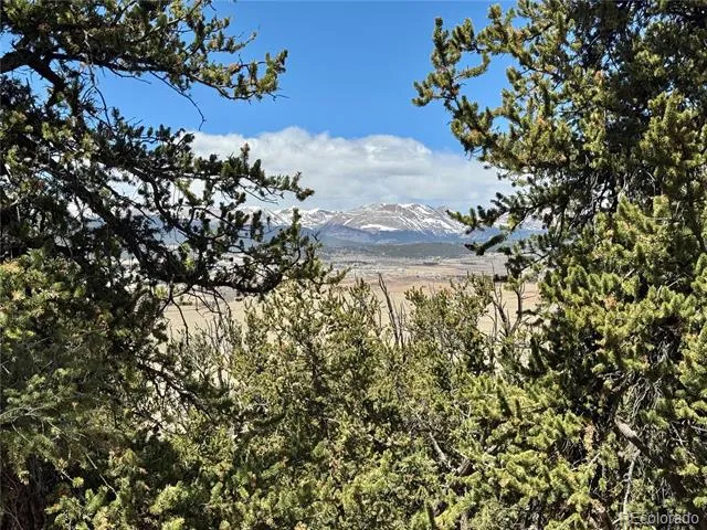 5013 Middle Fork Vista Fairplay, CO 80440