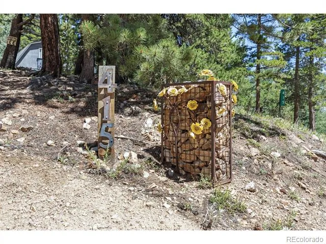 415 Upper Travis Gulch Road Black Hawk, CO 80422