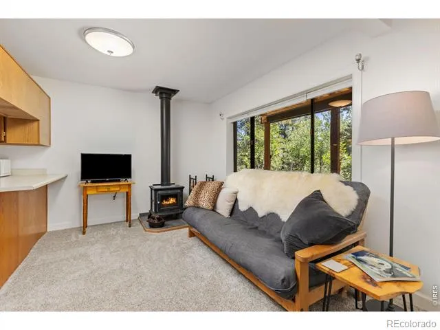 415 Upper Travis Gulch Road Black Hawk, CO 80422