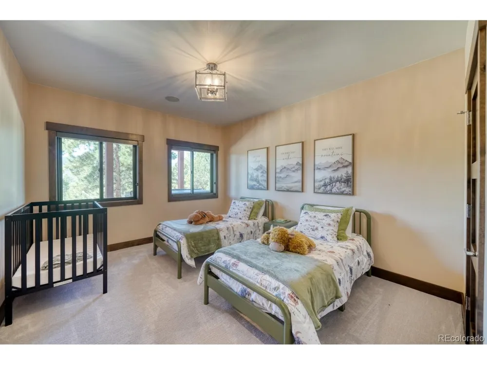 14767 Basalt Lane Salida, CO 81201