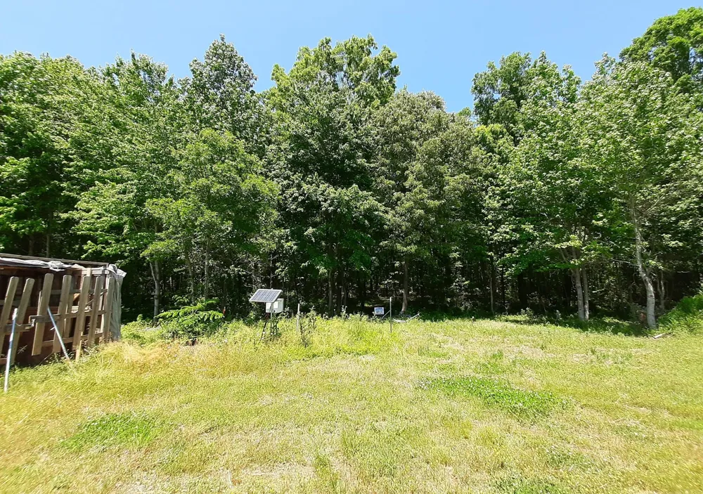 10 Lakewood Park Dr Beechgrove, TN 37018