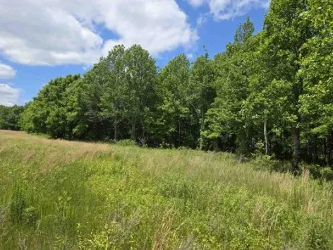 10 Lakewood Park Dr Beechgrove, TN 37018