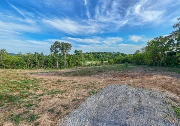 0 Murfreesboro Road College Grove, TN 37046