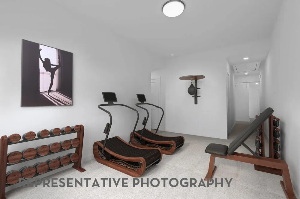 1219 Barbazzano Drive Fate, TX 75087