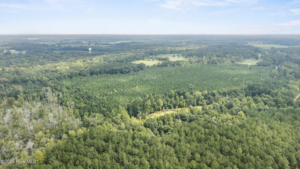 Tba Bill Hooks Road Whiteville, NC 28472