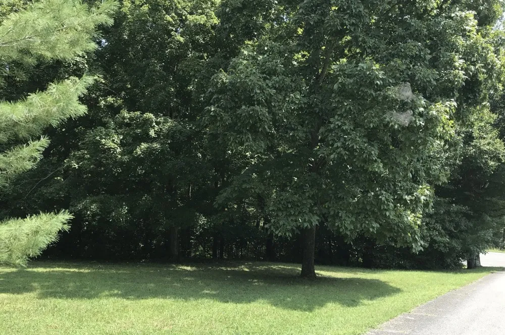 0 Hazel Centerville, TN 37033