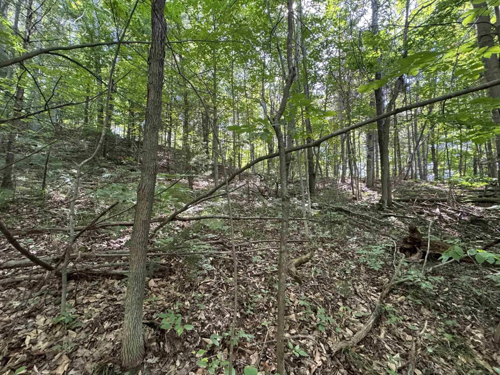 1205 S Garfield Road East Bay Township, MI 49696