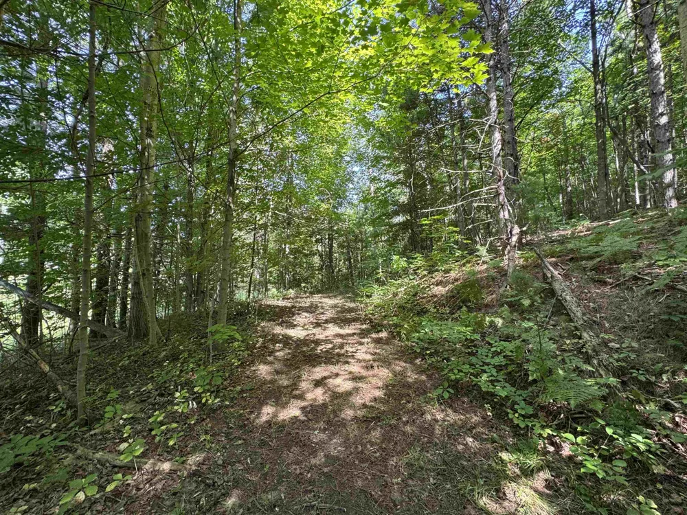 1205 S Garfield Road East Bay Township, MI 49696