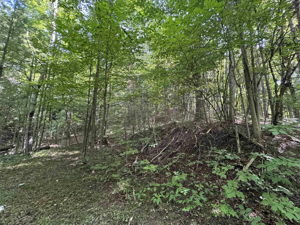 1205 S Garfield Road East Bay Township, MI 49696