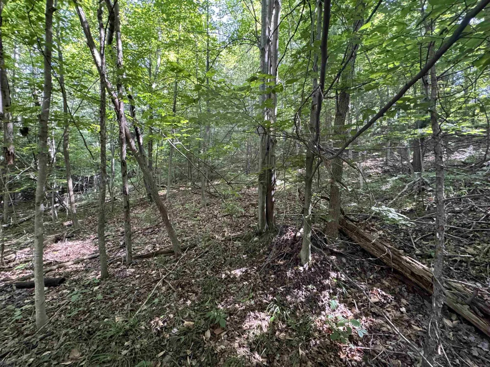 1205 S Garfield Road East Bay Township, MI 49696