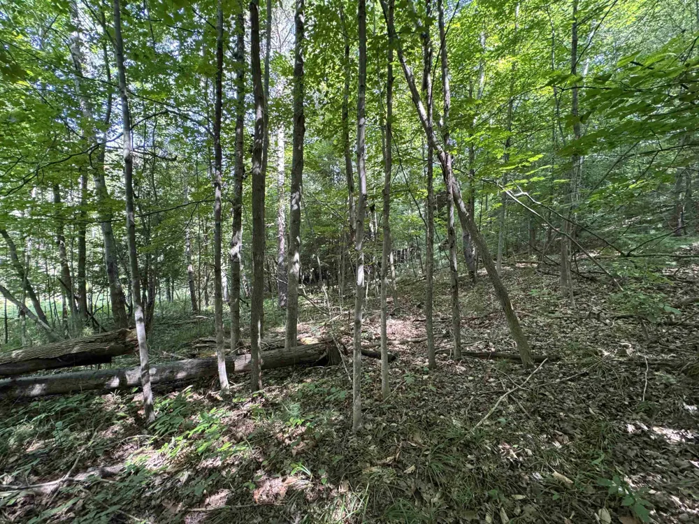 1205 S Garfield Road East Bay Township, MI 49696