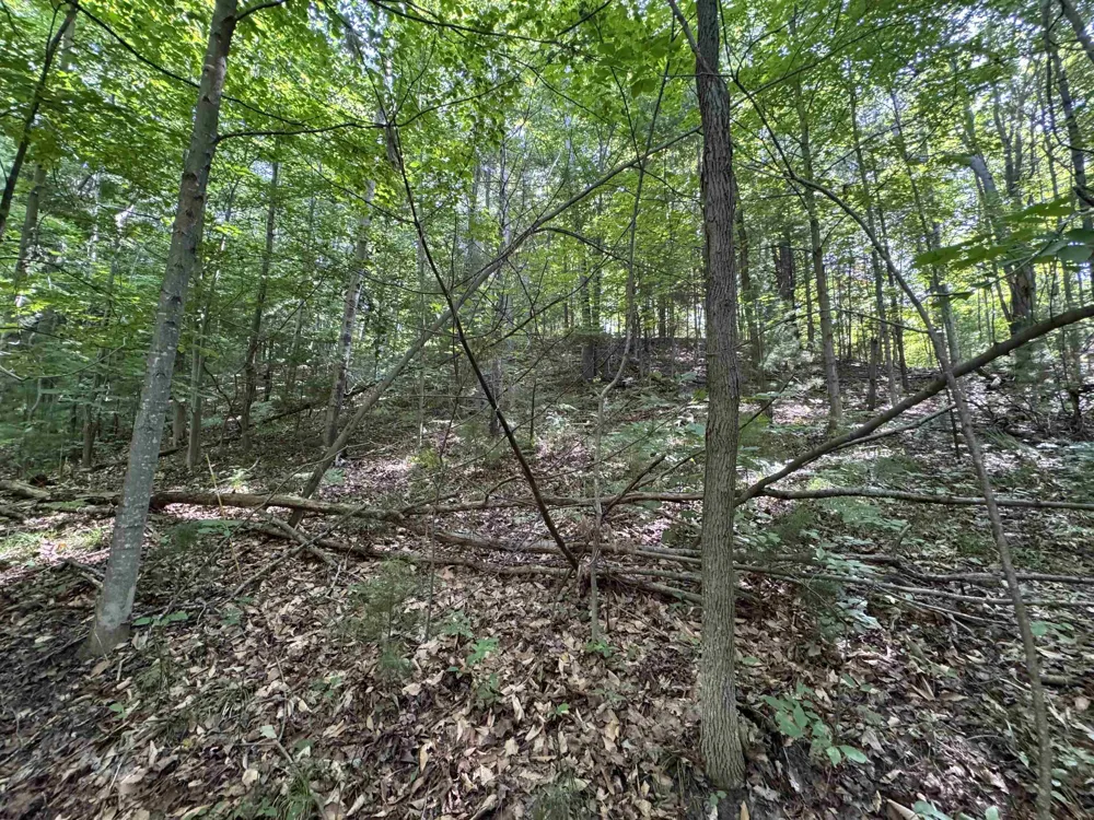 1205 S Garfield Road East Bay Township, MI 49696
