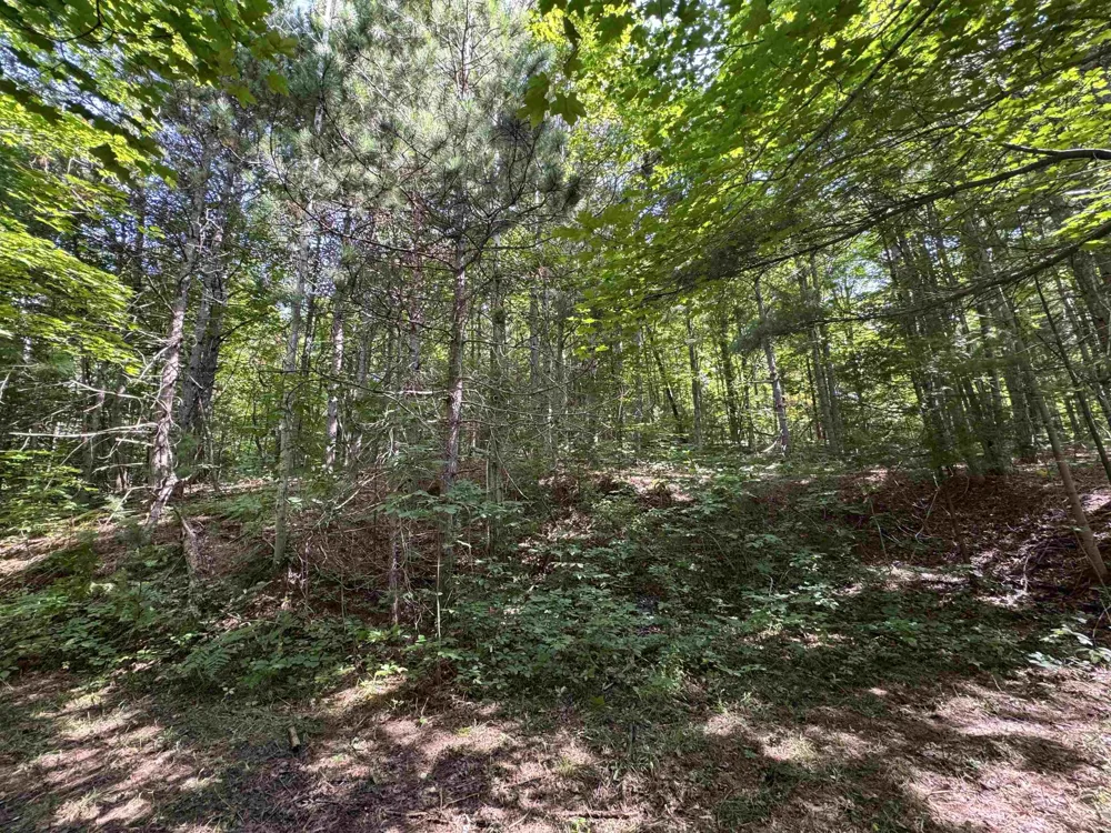 1205 S Garfield Road East Bay Township, MI 49696