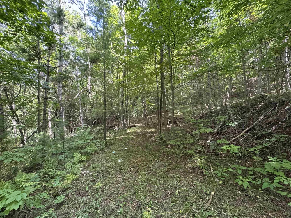 1205 S Garfield Road East Bay Township, MI 49696