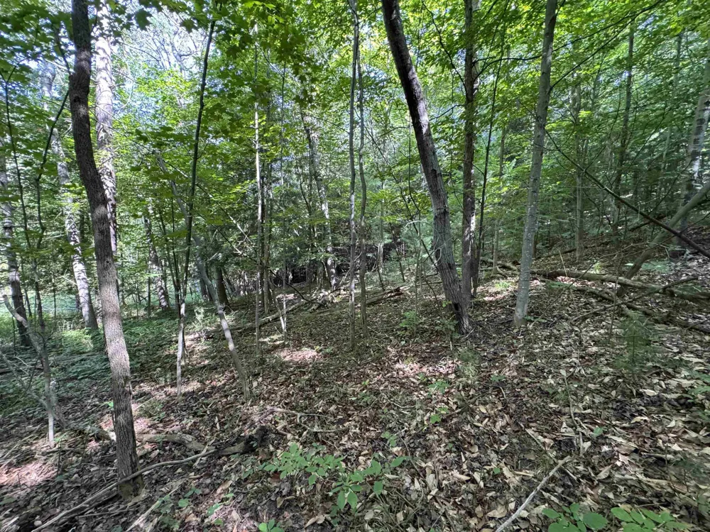 1205 S Garfield Road East Bay Township, MI 49696