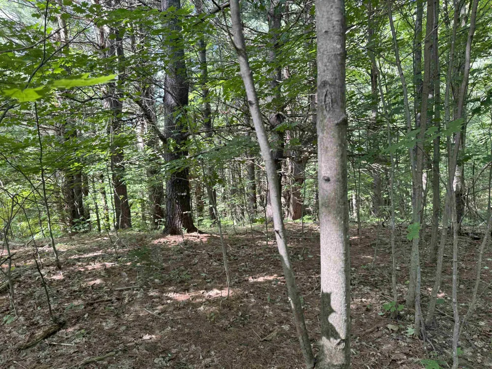 1108 S Garfield Road East Bay Township, MI 49696