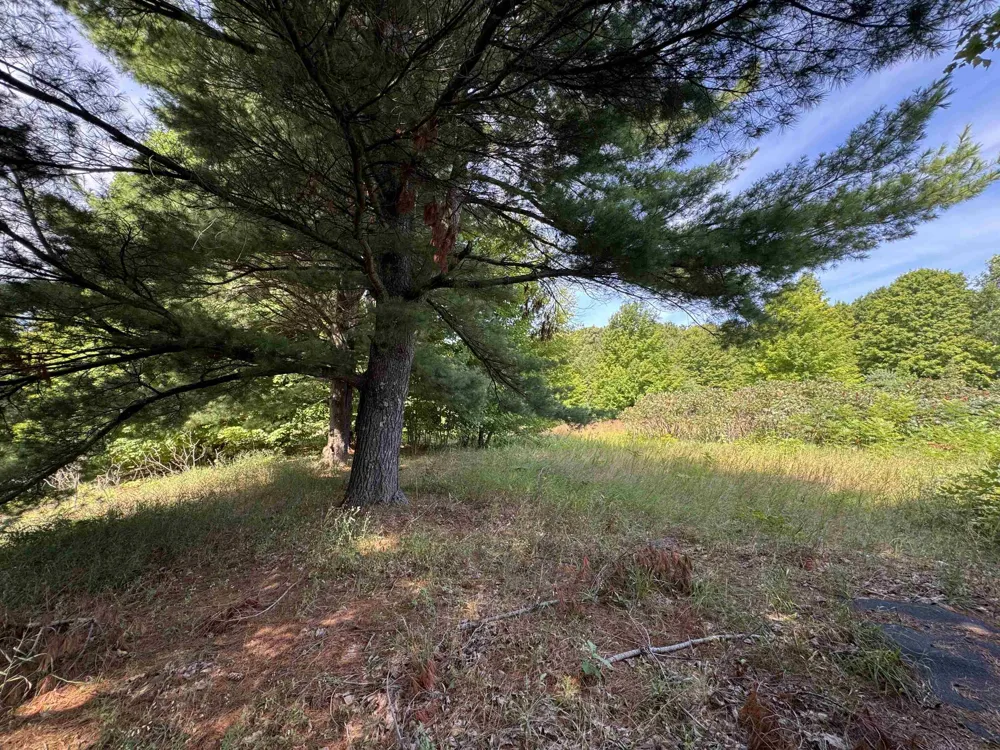 1108 S Garfield Road East Bay Township, MI 49696