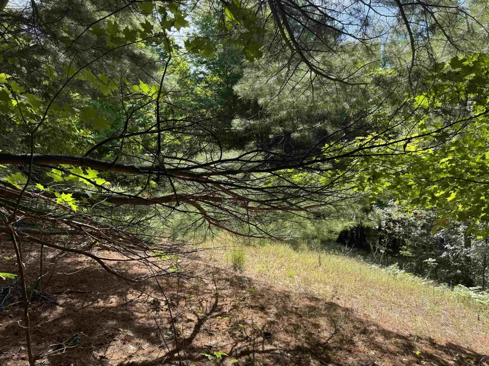 1108 S Garfield Road East Bay Township, MI 49696