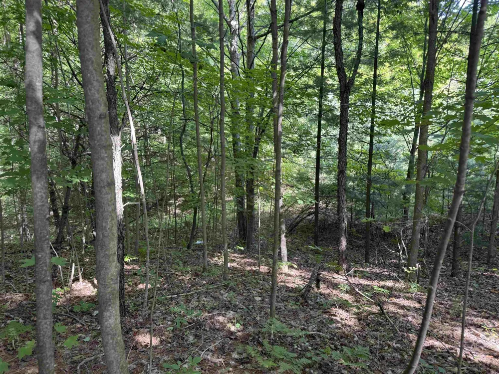 1108 S Garfield Road East Bay Township, MI 49696