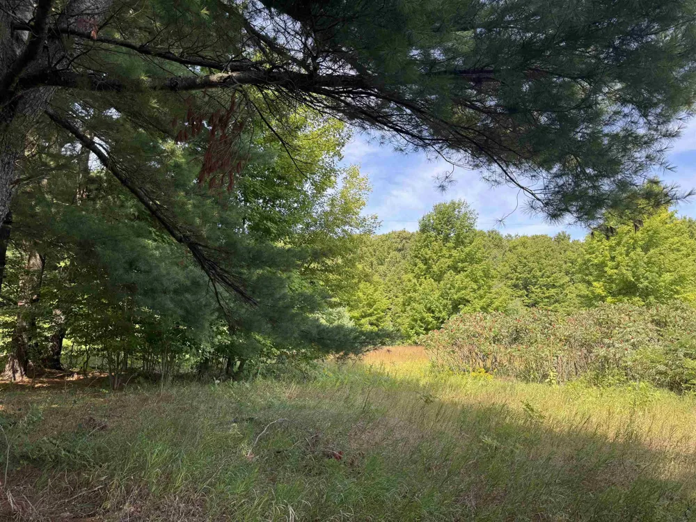 1108 S Garfield Road East Bay Township, MI 49696