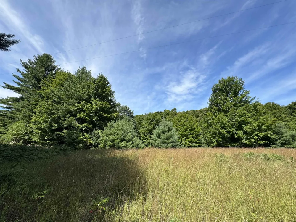 1108 S Garfield Road East Bay Township, MI 49696
