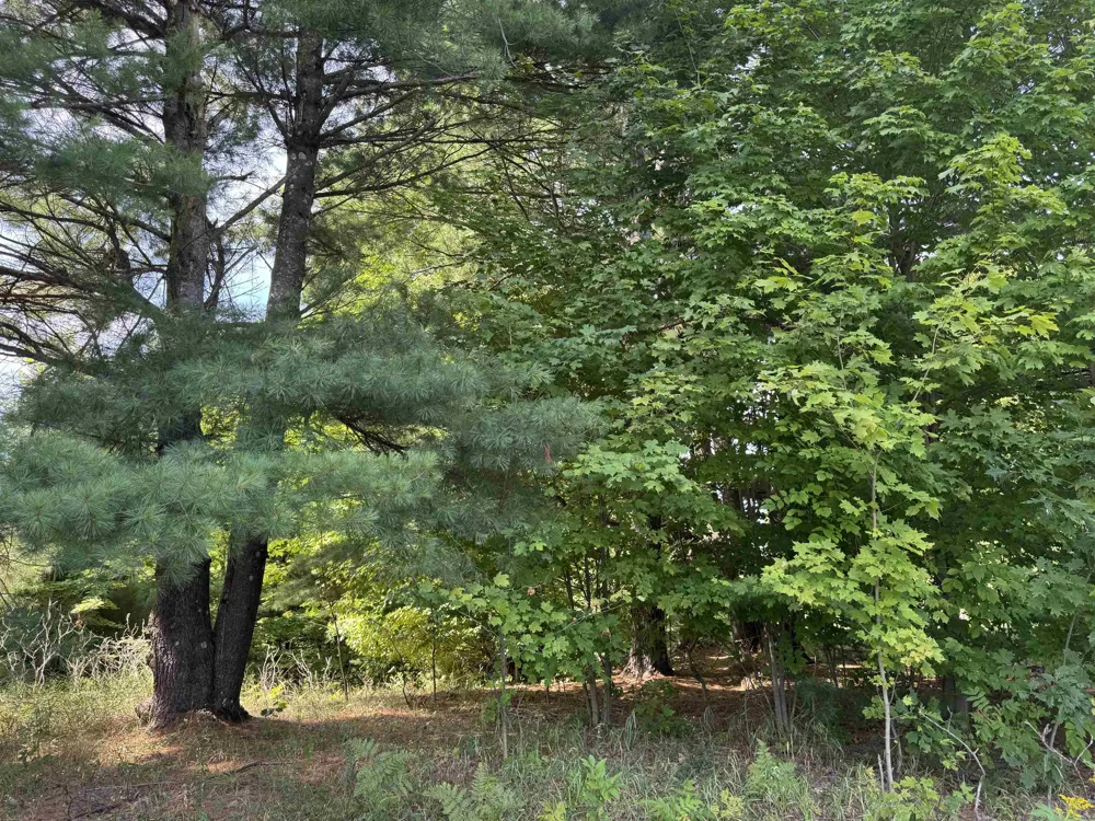 1108 S Garfield Road East Bay Township, MI 49696