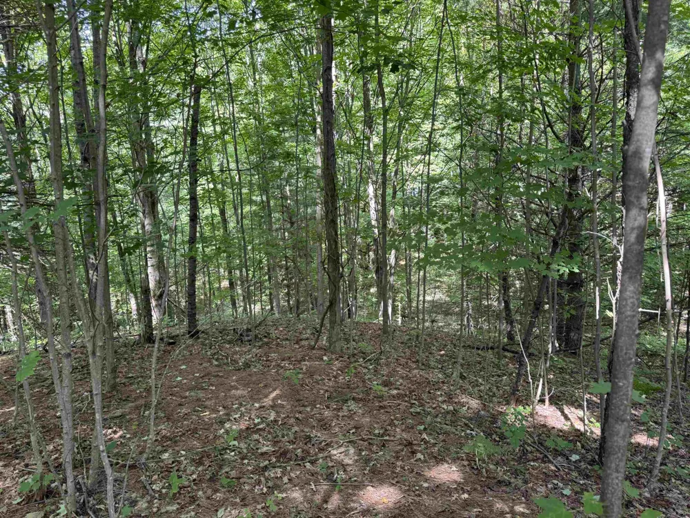 1108 S Garfield Road East Bay Township, MI 49696