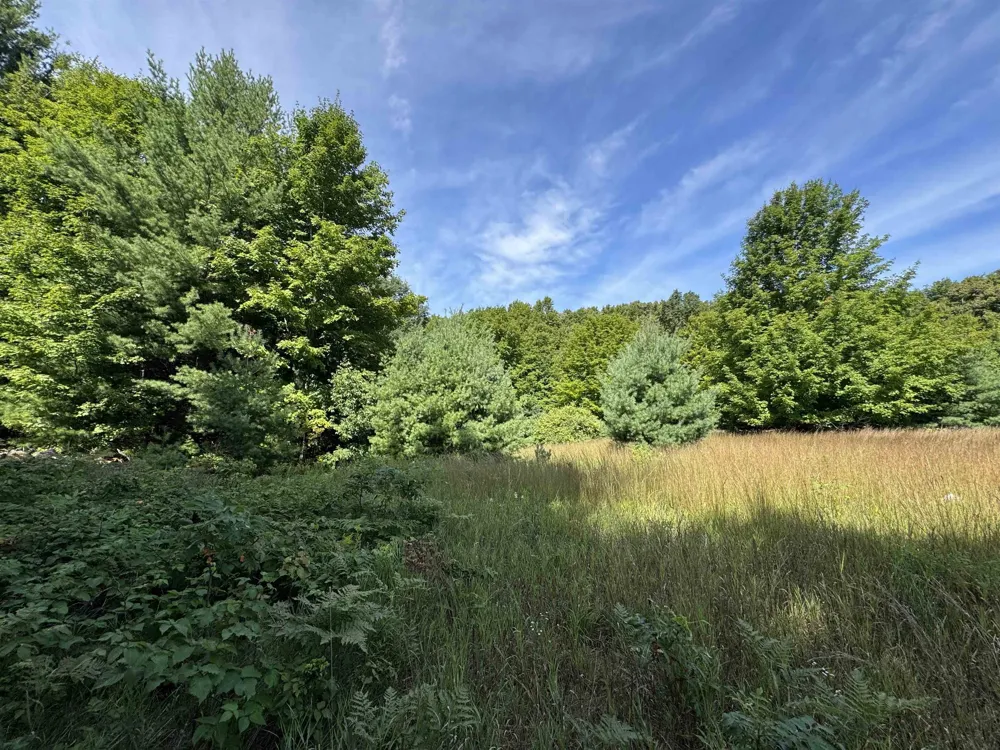 1108 S Garfield Road East Bay Township, MI 49696