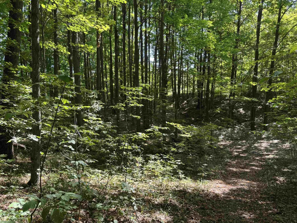 S Garfield Road East Bay Township, MI 49696