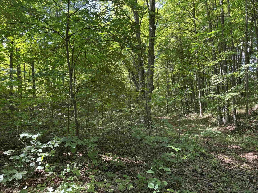 S Garfield Road East Bay Township, MI 49696