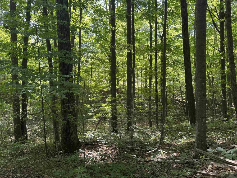 S Garfield Road East Bay Township, MI 49696