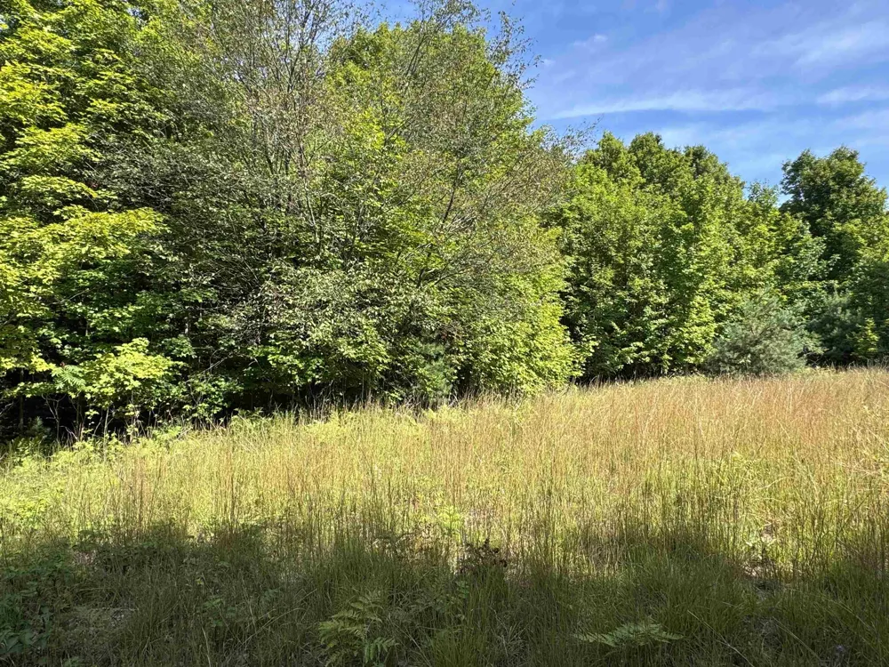 S Garfield Road East Bay Township, MI 49696