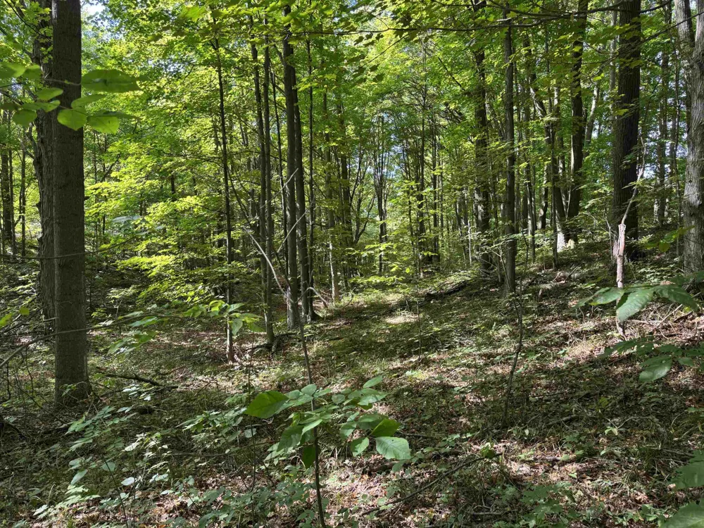 S Garfield Road East Bay Township, MI 49696