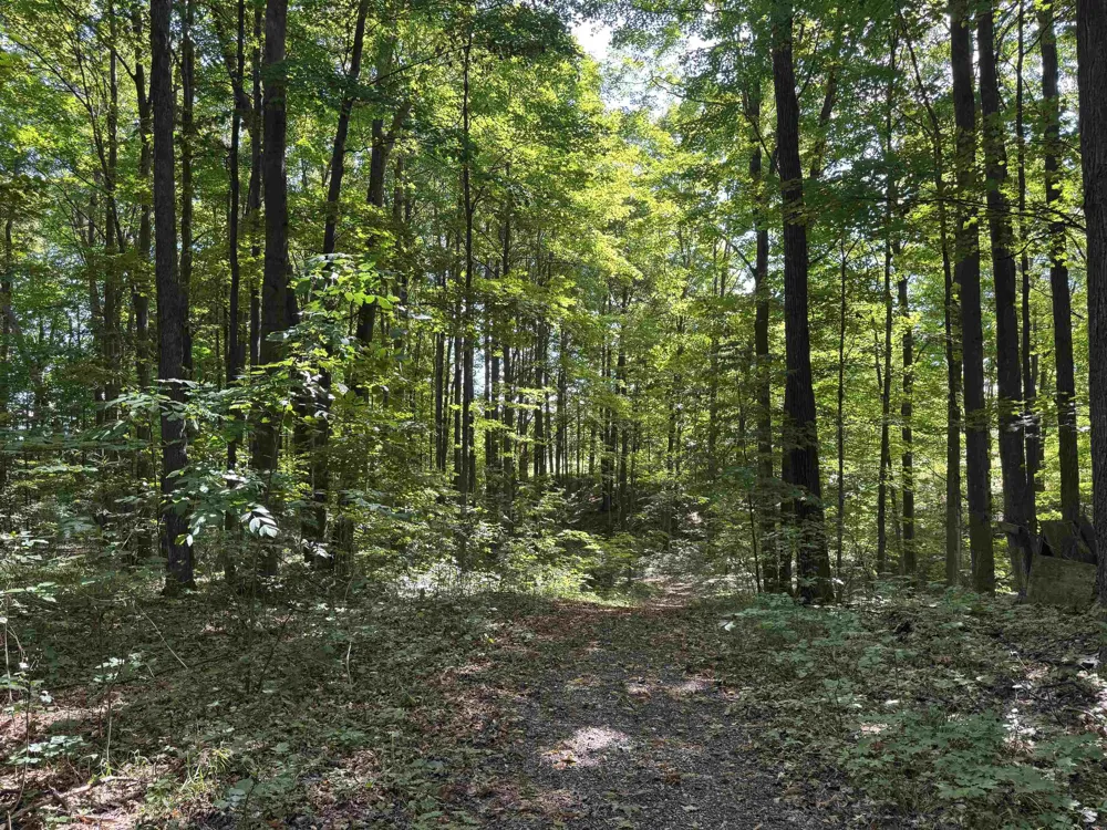 S Garfield Road East Bay Township, MI 49696