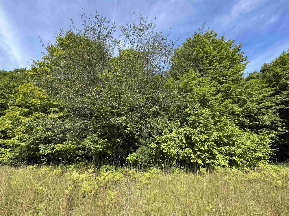 S Garfield Road East Bay Township, MI 49696